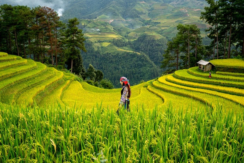 Healthcare in Agriculture Sector